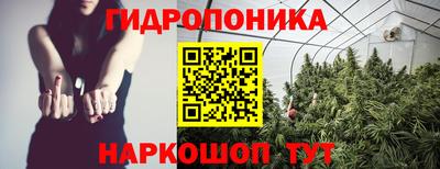 ГАЛЛЮЦИНОГЕННЫЕ ГРИБЫ Тверь