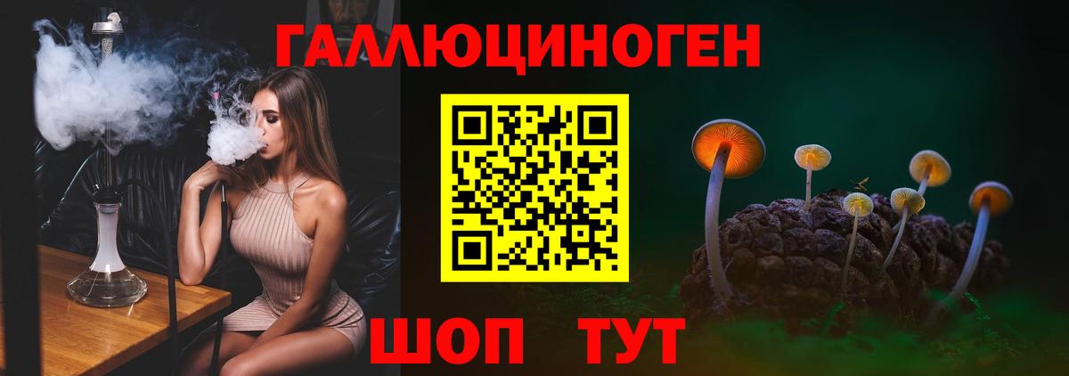 Галлюциногенные грибы Magic Shrooms  Вход с VPN  Псилоцибиновые грибы Psilocybine cubensis  Черкесск 